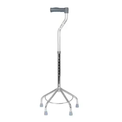 Loan-WalkingAide Loan WalkingAide